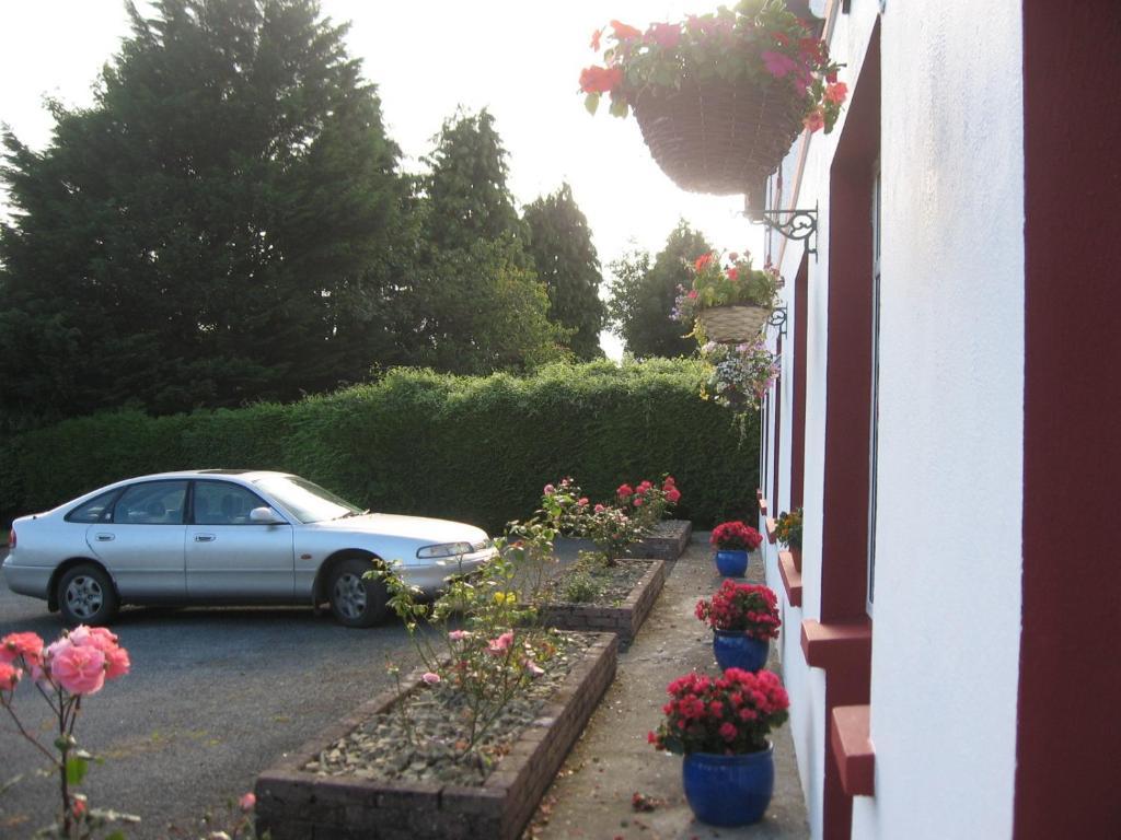 Marian House B&B Killarney Zewnętrze zdjęcie